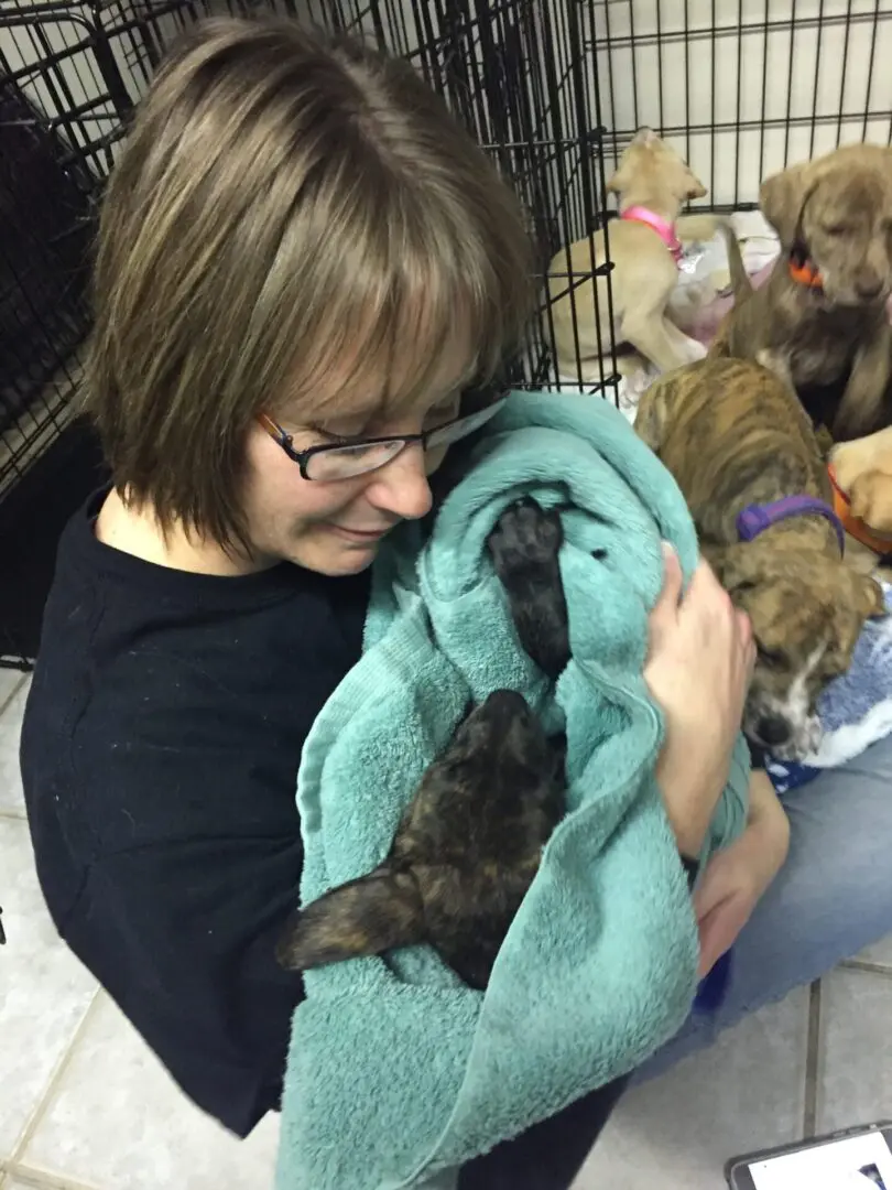 A woman holding onto some kittens in a blanket