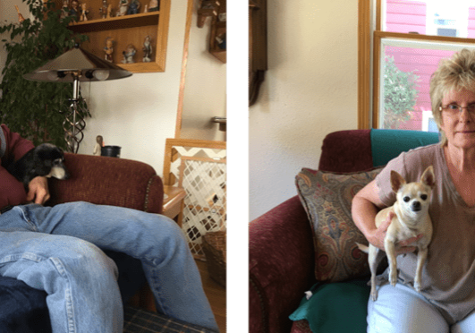 A man and woman sitting on a couch with two dogs.