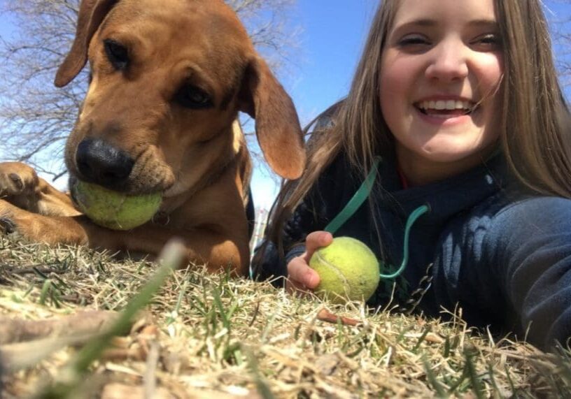 A girl laying on the ground with a dog playing with a tennis ball.