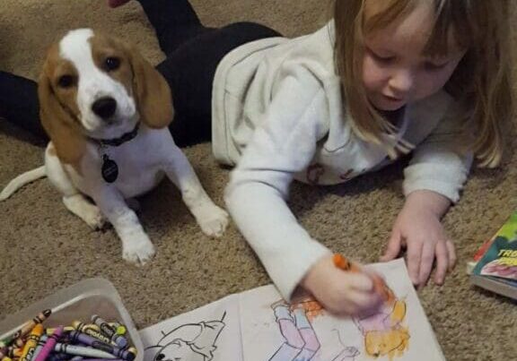 A little girl laying on the floor with a dog and crayons.