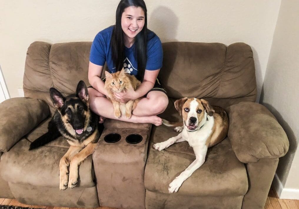 A woman sitting on a couch with two dogs and a cat.