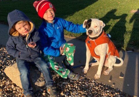 Two boys and a dog sitting on a rock in front of a house.