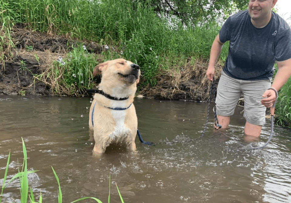 A man standing in the water with a dog.