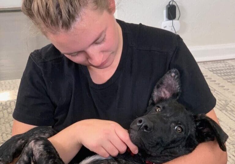 A woman is holding a black dog in her lap.