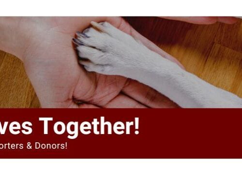 Blog Header 1