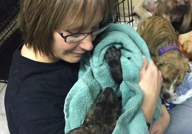 A Lady is holding the Dog and raising more Puppies A woman holding onto some kittens in a blanket