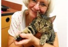 A woman is holding a tabby cat in her lap.