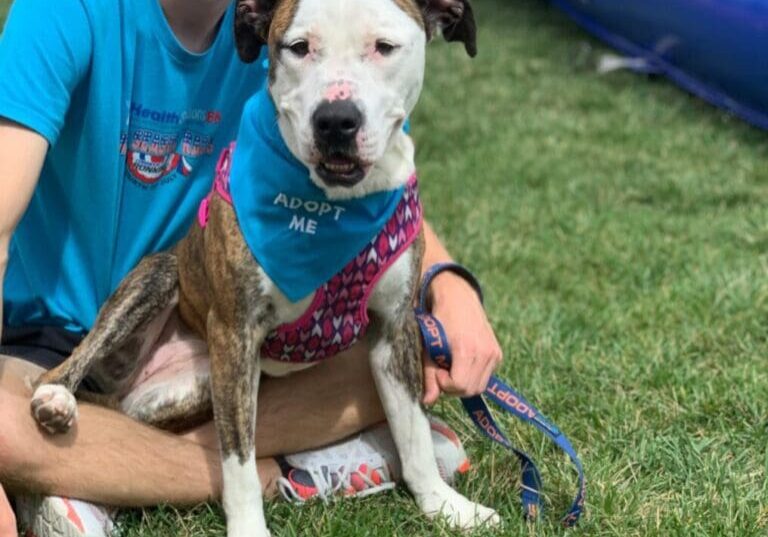 A man sitting on the ground with a dog in a blue bandana.