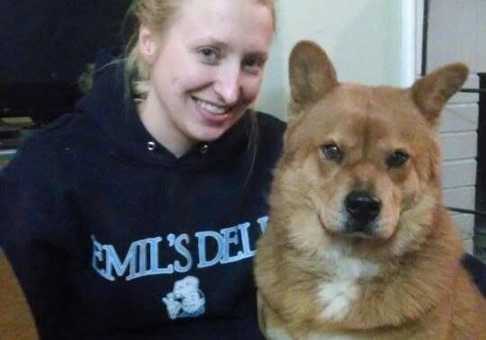 A woman sitting next to a brown dog.