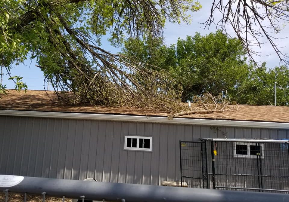 A tree has fallen onto the roof of a house.