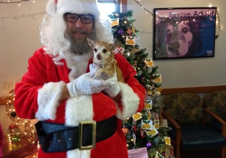 A man dressed as santa claus holding a chihuahua.