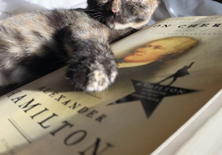 A cat laying on top of a book.