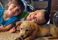 Two children laying on the floor with a puppy.