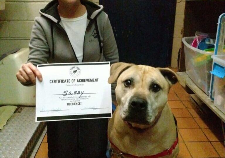 A woman posing with a dog holding a certificate.