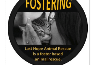 Last hope animal rescue poster.