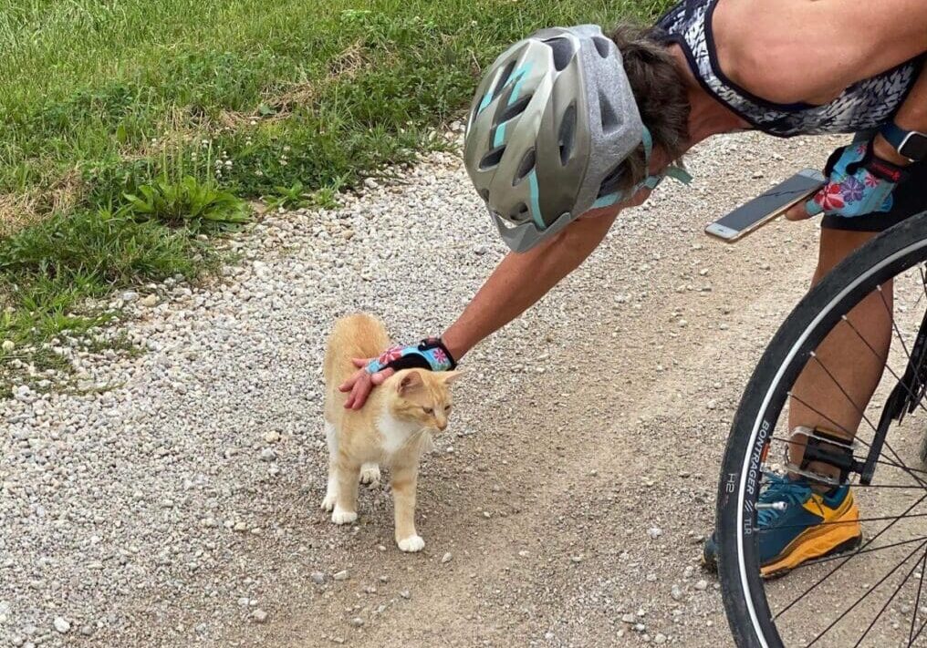 A cyclist petting a cat on a dirt road.